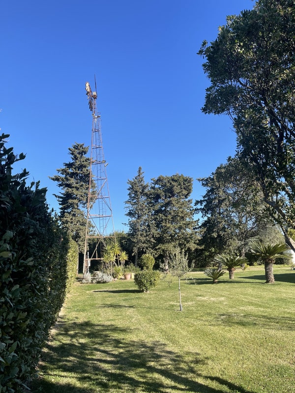 Manutenzione professionale di un giardino privato