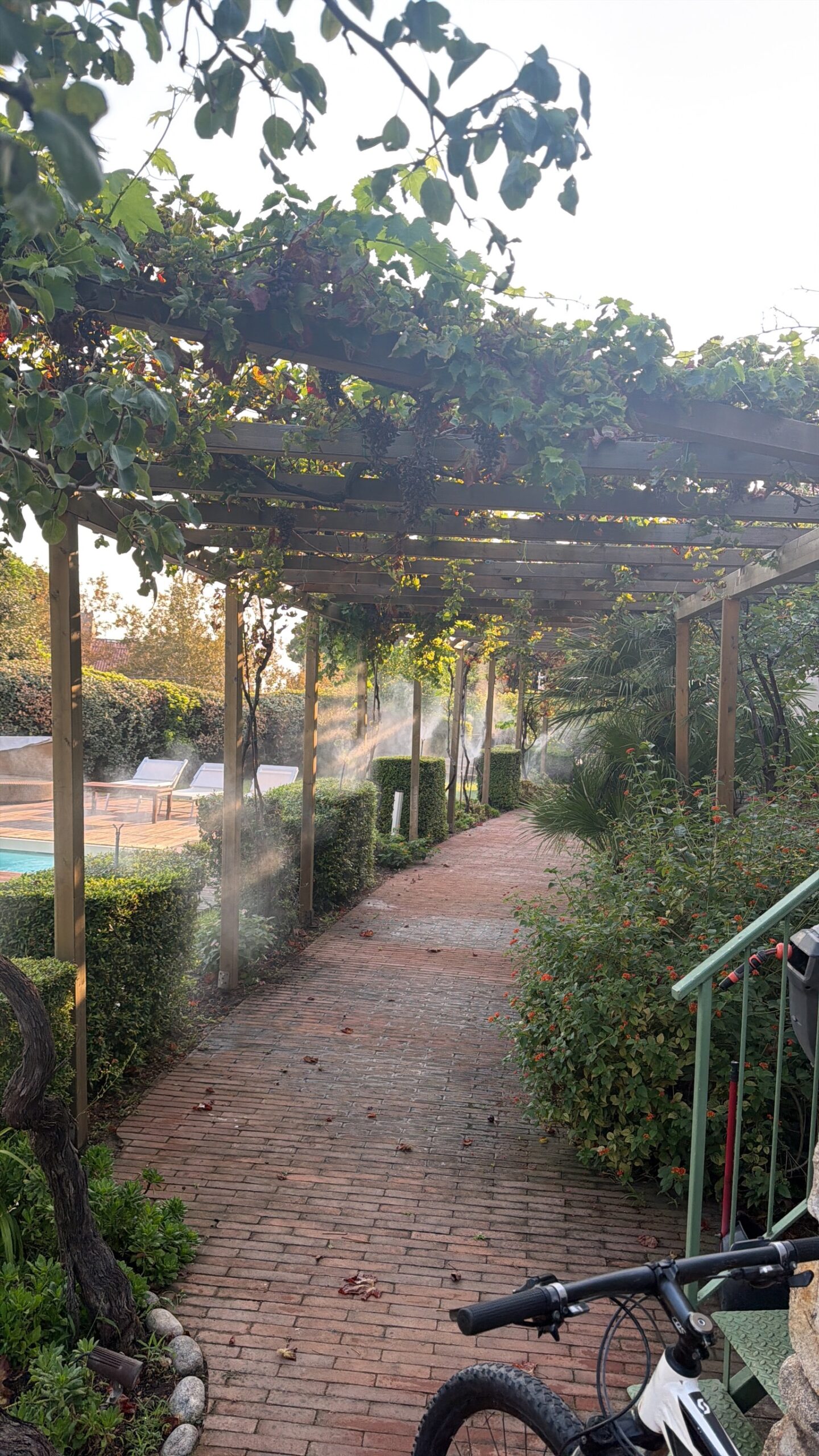 Percorso esterno sotto pergolato, inserito tra siepi e vegetazione del giardino.