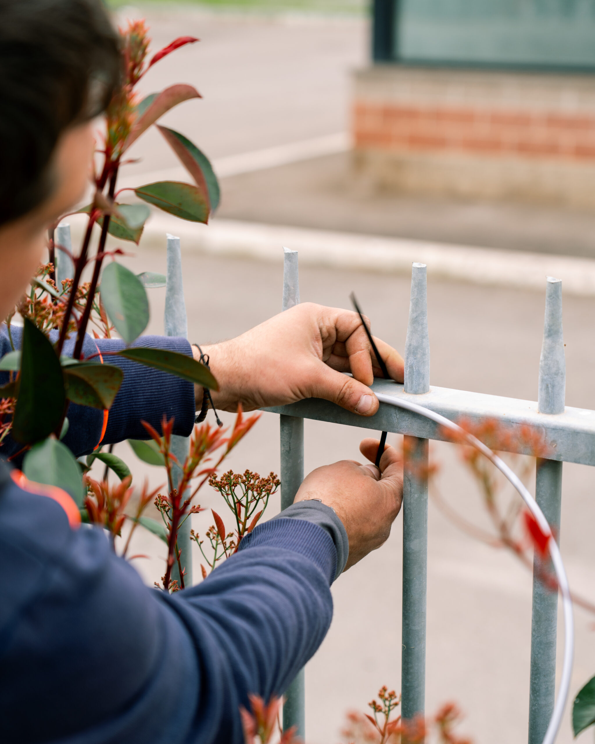 Intervento professionale realizzato da Canta Garden Design
